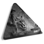 Triangle MDF Magnets - BW - Caracal African Lynx Cat #38979