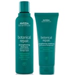 Aveda Botanical Repair Package