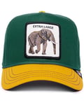 Chapeau Avec Visière Goorin Bros. Extra Large Elephant Homme Coton Vert
