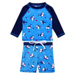 HUAANIUE Baby Boys Swimsuit Blue Car 6M-3Y LongSleeve Two Piece Swimming set Girls Swimwear Quick Drying Swim Rash Guard Boysuit Costume (NavyBlue Shark, 1-2Y(Tag No.2A))