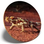 1 x Australian Thorny Devil Cool - Round Coaster Kitchen Student Kids Gift #3015