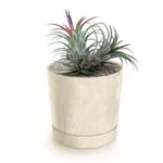 Botle Pot De Fleur Rond Creme En Plastique Beton Effect Cache Pot 37,5 Cm Decoratif Bac A Plantes Avec Soucoupe Fleurs