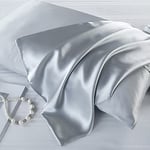 100% Natural Pure Mulberry Silk Pillowcase for Hair and Skin, Hypoallergenic, Dual Sides 22 Momme Highest Grade 6A Natural Silk Pillow Case with Hidden Zipper (1pcs,Standard 50x75cm, Silver Grey)