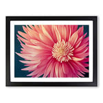 Super Chrysanthemum Flower H1022 BLK Framed Print for Living Room Bedroom Home Office Décor, Wall Art Picture Ready to Hang, Black A3 Frame (46 x 34 cm)