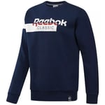 Sweat-shirt Reebok Sport  AC F DIS FLEECE SW