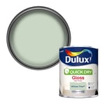 Dulux 5358149 Quick Dry Gloss Paint - Willow Tree - 750ML