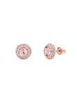 Ted Baker Soletia Solitaire Sparkle Crystal Stud Earrings For Women (Rose Gold Tone/Crystal)