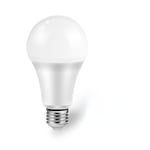 Ampoule LED RGB avec Minuterie Blanche à Intensité Variable,Lampe pour Documents Intelligents,Compatible avec Alexa,Google Home,Tuya,Smart Home,9W,WiFi,110-250V - Type [WHDP01]-1pcs-210-250V #B