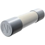 Püschel Feinsicherungen - FSSF2,5B FSSF2,5B Micro-fusible (ø x l) 5 mm x 20 mm 2.5 a 250 v ultra-rapide -ff- Contenu 10 p