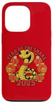 iPhone 13 Pro Chinese New Year 2025 Year Of The Snake Case