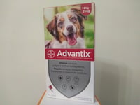 ADVANTIX¹ 250 chien protection Puces Tiques Leishmaniose 10-25 kg bte 4 pipettes