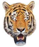 Tiger 2D Animal Single Card Party Mask - World Book Day Jungle Safari Wildlife