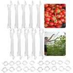 10PCS crochet à tomates crochets de tomate support J à tomate crochets de serre Crochet avec 10m corde + Lot de 20 clips de fixation pour plantes de jardin