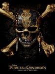 Disney Pirates of The Caribbean (Skull) 60 x 80 cm Toile Imprimée