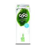 Dr Antonio Martins Green Coco 1l