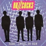 Buzzcocks - Encore Du Pain (Black Vinyl Lp) (LP)