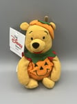 Disney Winnie The Pooh Pumpkin Pooh 8” Plush Soft Toy Mini Bean Bag New Retired