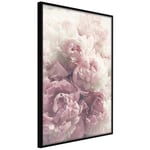 Plakat - Delicate Peonies - 30 x 45 cm - Sort ramme