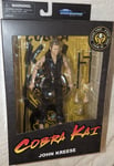 John Kreese Cobra Kai Series 1 Diamond Select Action Figure