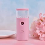 1pc Usb Rechargable Air Diffuser Handheld Water Ultrasonic Nano