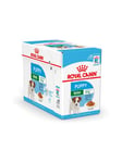 Royal Canin Mini Puppy (kastikkeessa) 12x 85g