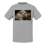 T-Shirt Enfant Sépia Lion Couché Crinière Nature Roi Des Animaux