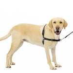 PetSafe Easy Walk Harnais anti-traction pour chien – Le harnais ultime pour aider à arrêter de tirer – Prenez le contrôle et enseignez de meilleures manières de la laisse – Aide à empêcher les animaux