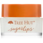 Tree Hut Sugar Lips lip scrub 9.8 g