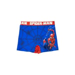 SPIDER-MAN badshorts 104