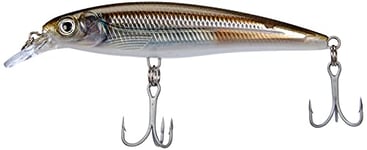 Rapala - Leurre de Pêche X-Rap Saltwater - Matériel de Pêche pour les Gros Prédateurs - Leurre Pêche Mer Tout Poisson - Profondeur de Nage 1.2-2.4m - 12cm / 22g - Fabriqué en Estonie - Mangrove Minnow