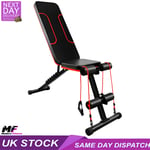 Weight Bench for Home or Gym, Lightweight & Foldable