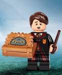 LEGO Série Harry Potter 2 - Neville Longbottom - 71028-16