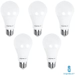 Ampoule led E27 17 w 6400K cold white 5 pieces