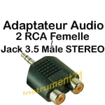 Adaptateur 2 RCA Femelle vers Jack 3,5 Stéréo Mâle Capot Plastique 