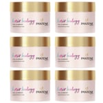 Pantene Pro-V Biology Hair Mask Full & Vibrant x 6