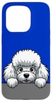 Coque pour iPhone 15 Pro Caniche blanc mignon qui regarde un chiot amusant pour les amoureux des chiens