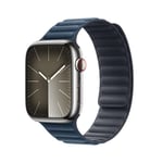 Apple 45mm Pacific Blue Magnetic Link S/M