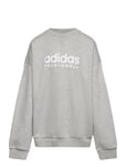 Fleece Crew Sweatshirt Kids Sport Sweat-shirts & Hoodies Sweat-shirts Grey Adidas Sportswear