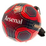 Arsenal FC Skills Training Ball