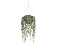 4Living Green Plant Ampel, 30 Cm