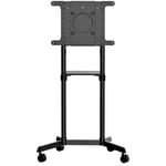 StarTech.com Mobile TV Cart/Stand 37-70in VESA Mount