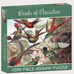 Gifted Stationary Company - Birds of Paradise - 1000pc Jigsaw