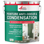 Peinture anti condensation anti odeur moisissure Vert jonc RAL 6013 10 L