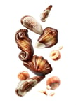 Guylian Seashells Single Layer Gift Box (500 g)