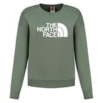 THE NORTH FACE Sweat à Capuche Drew Peak pour Homme