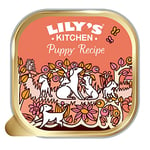 Lily's Kitchen - Complete Natural Adult Dog Food Wet (10 x 150g Trays)