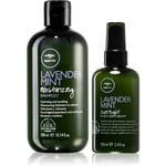 Paul Mitchell Lavender Mint Save on Duo gift set for dry and unruly hair