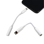 Apple Lightning to 3.5 mm Headphone Jack Adapter - Lightning to headphone  jack adapter - Lightning (M) to stereo mini jack (F) - for Apple  iPad/iPhone/iPod (Lightning) - Hunt Office Ireland