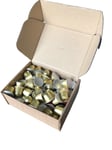 90 NAKED Espresso Crema Gold Nespresso compatible Coffee Pods