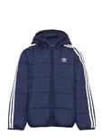 Adidas Originals Padded Jacket Marinblå